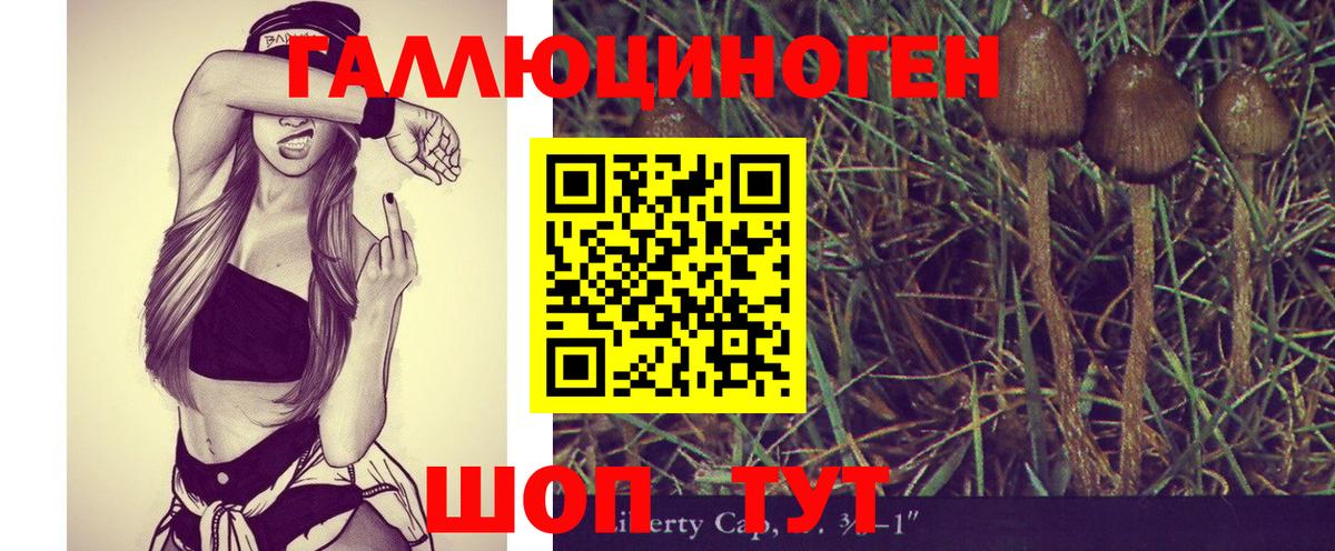 Псилоцибиновые грибы Psilocybine cubensis Кимовск